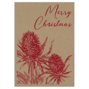 CP346 Jolly Bottle Brush - Printed